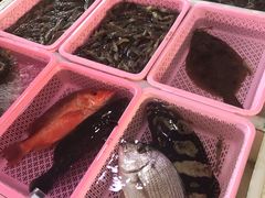 -南沙十九涌渔人码头-南门