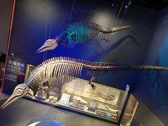 -贝林大翅鲸简餐厅(国家海洋博物馆店)