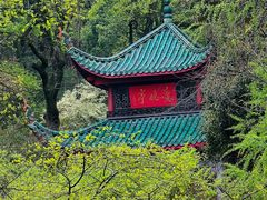 -岳麓山风景名胜区