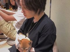 -逗柴咖啡屋·狗咖猫咖宠物桌游
