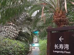 -龙达温泉生态城