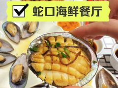 果皮蒸鲍鱼仔-强记海鲜·大排档(蛇口新街店)