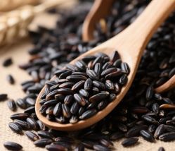 -Bollins波林丝•专研护发中心