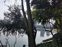 -南宁南湖公园