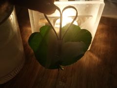 -TZ House音乐现场(茅台店)