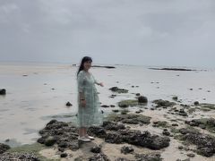 -红树林天天赶海
