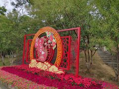-金鸡山公园