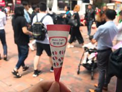 -富豪雪糕车流动点(尖沙咀店)