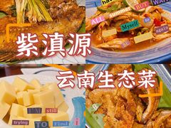 -紫滇源云南生态菜(丹凤街店)