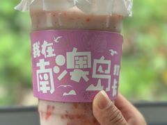 -南澳岛打卡果汁冰公司
