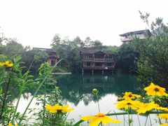 -仙店农庄(湖景农庄餐厅)