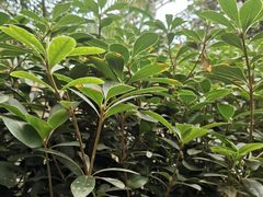 -龙达温泉生态城