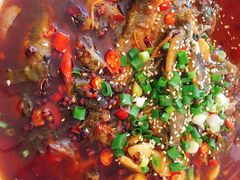 -新繁老號豌豆汤饭店·江湖菜(宝光寺店)