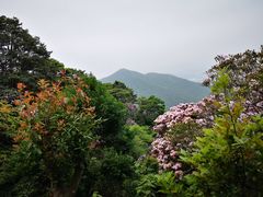 -梧桐山风景名胜区