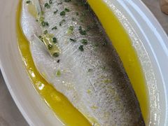 古法清蒸白鱼-二泉园老菜馆·百年无锡菜