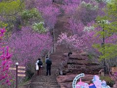 -天台山赤城山景区