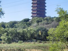 -永定河休闲森林公园