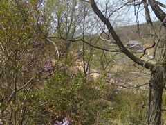 -小田乌鱼排(济宁总店)