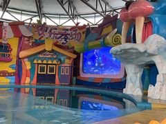 -海合安武汉极地海洋公园