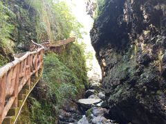 -鹿院坪生态旅游景区