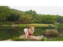-东湖磨山景区