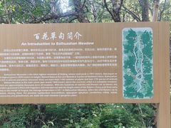 -白草畔自然风景区