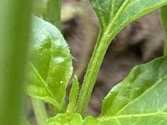 -宜昌富力皇冠假日酒店·咖啡1号西餐厅