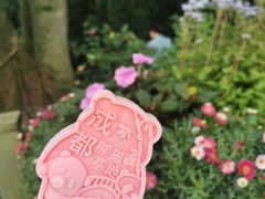 -成都大熊猫繁育研究基地