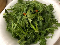 海派茼蒿-潮福城大酒楼·潮粤菜·港式点心(阳光城店)
