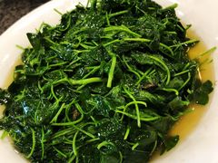 清炒金花菜-沈厅酒家(周庄店)