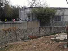 -西安秦岭野生动物园