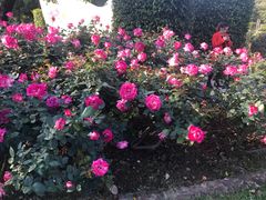 -人民公园(罗湖区)