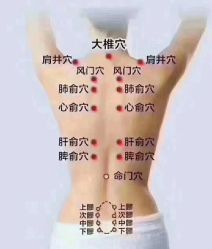 点击看大图 -香薇妮丝女子减肥院