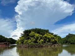 -大湾区中央湿地公园