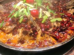 -老板恋上鱼(荣盛广场店)