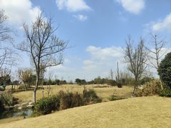 -两河城市森林公园