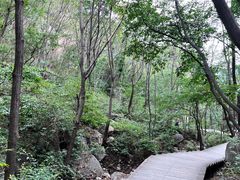 -大岭沟猕猴桃谷风景区