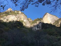 -青峰峡国家森林公园