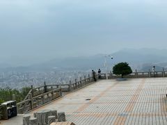 -风云岭森林公园