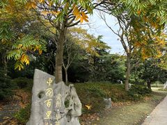 -上海滨江森林公园