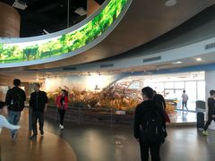 -漩门湾国家湿地公园