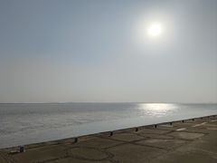-观潮胜地公园