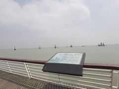 -贡湖湾湿地公园