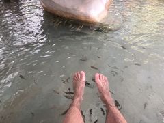 -碧水湾温泉