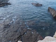 -碧桂园十里银滩