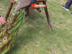 -泉州海丝野生动物世界