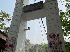 -西双版纳原始森林公园