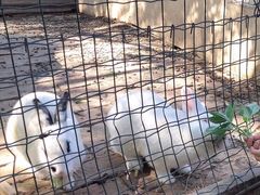 -意大利农场度假村