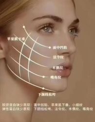 点击看大图 -YESIDO椰岛美容