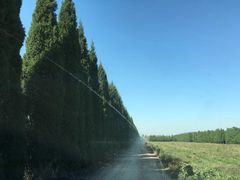 -汉景帝阳陵博物院